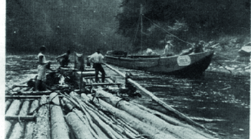 Flottage de bois