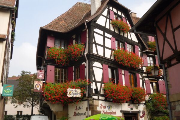 Elsass