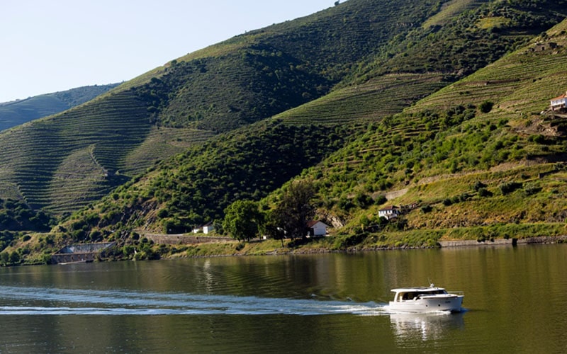 Nos bateaux coup de cœur de la flotte électrique