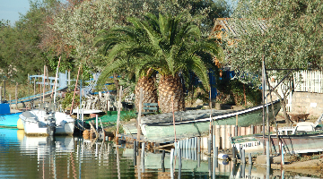 Bateaux sur les berges de camargue