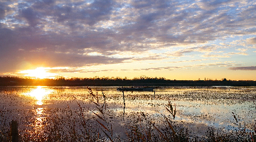 Couché de soleil Camargue