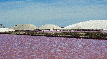 Les salins d'Aigues Mortes
