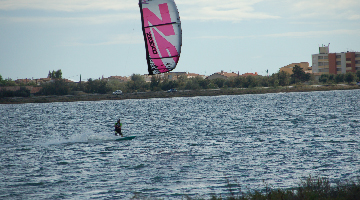 Surf