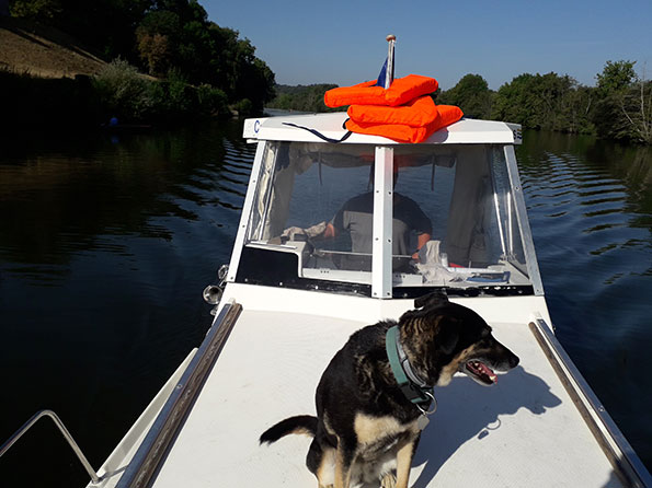 Chien sur le pont du bateau