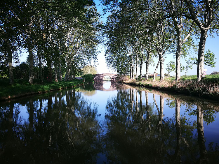 Homps depuis le canal