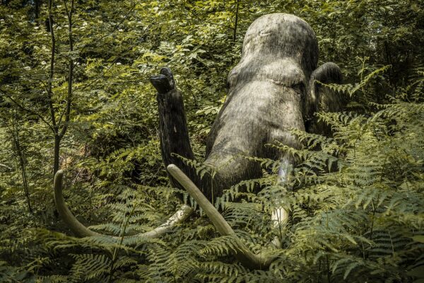 Paleosit