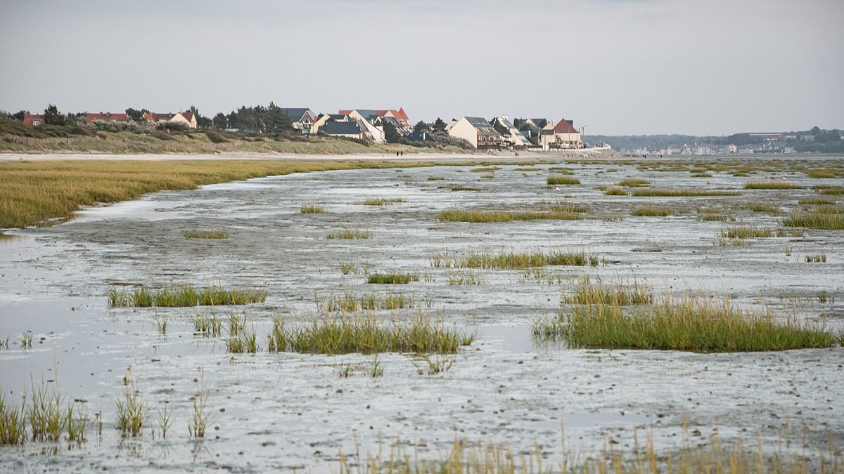 baie-de-somme