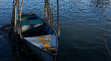 Barque