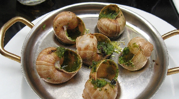 Relais du canalous plat d'escargots