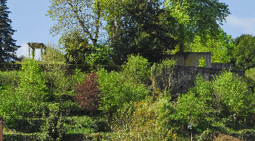 Végétation