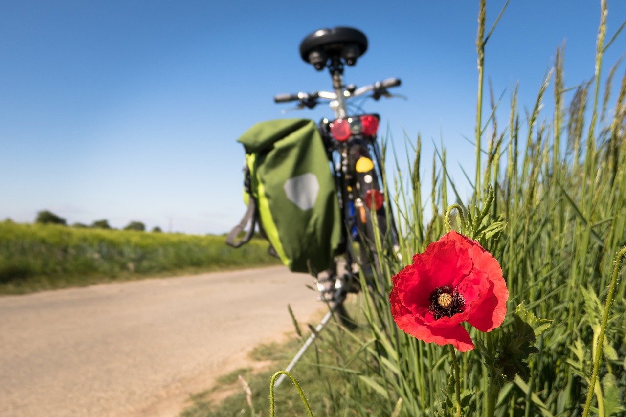 Séjour croisière et vélo, le phénomène Bike and Boat