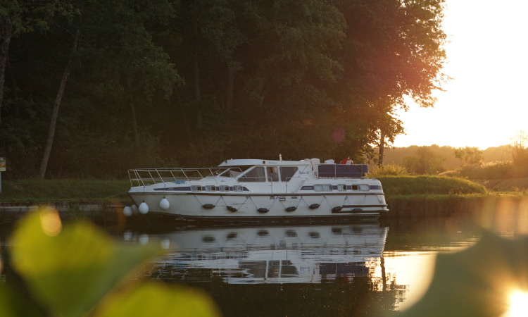 Tarpon couché de soleil