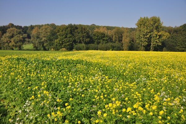 Mountainbike Strecken im Naturpark Ardennen