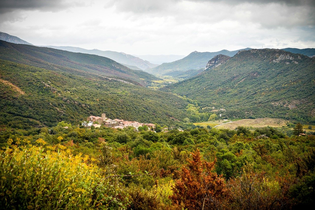 Les vins de Corbières