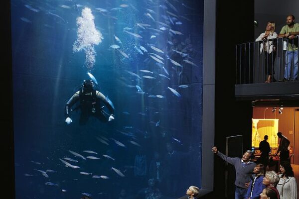 Das Aquarium der Müritz: Das Müritzeum