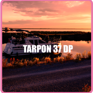 Tarpon 37 DP