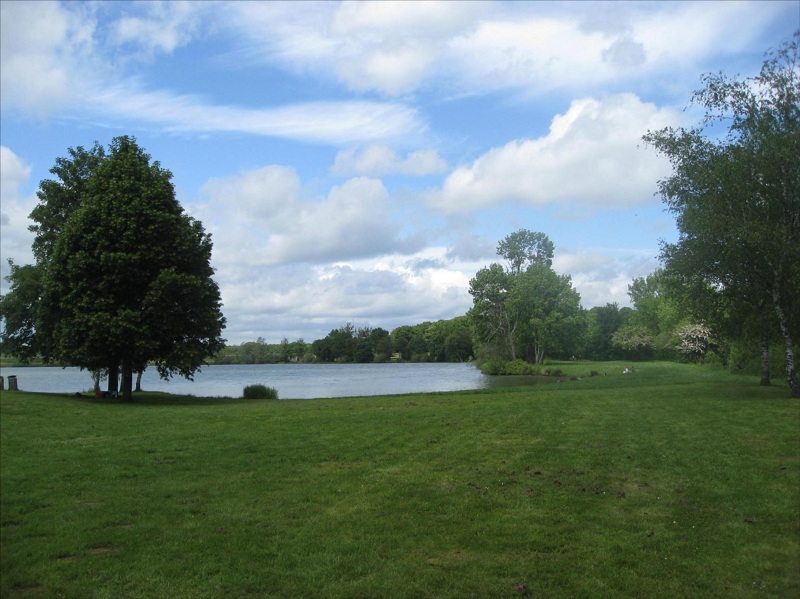 L'étang de Baye, à Bazolles - © Cypris