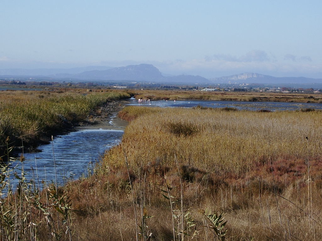 paysage du Pays de Lunel - © Remi-caribou