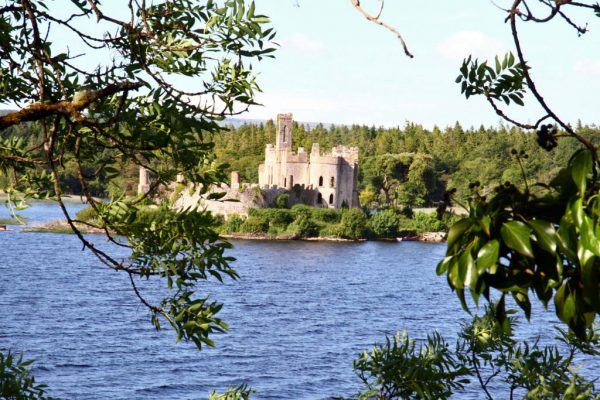 Lough Key Forest