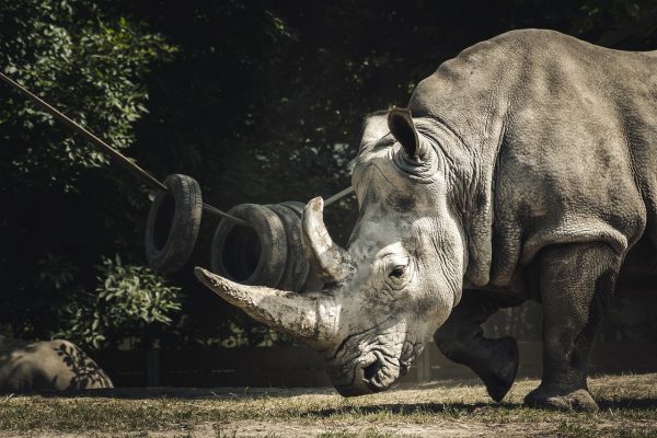 Der Zoologische Park Lunaret