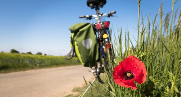 4 sites incontournables pour faire du vtt sur nos itinéraires fluviaux en Bourgogne