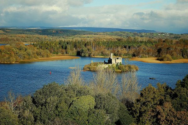 La forêt de Lough Key