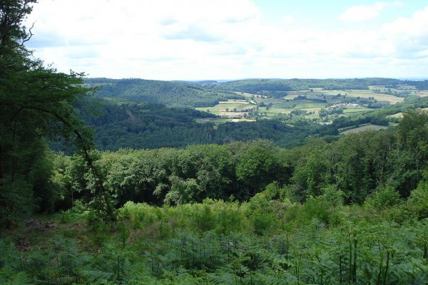 Regionaler Naturpark Morvan