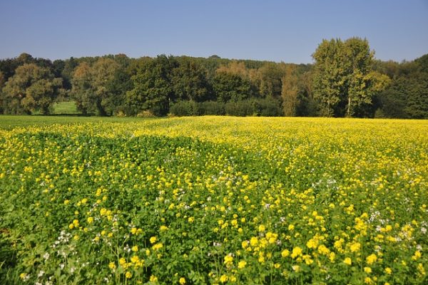 Mountain bike trails in the Ardennes Nature Park