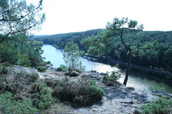 L’île aux pies