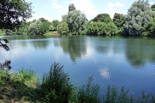 Le lac de Plauer See