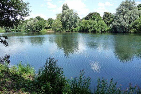 Der Plauer See