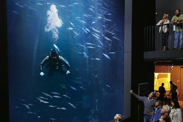 Das Aquarium der Müritz: Das Müritzeum