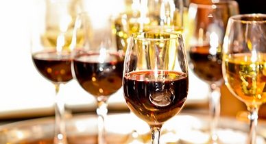 Les vignobles au fil de l’eau