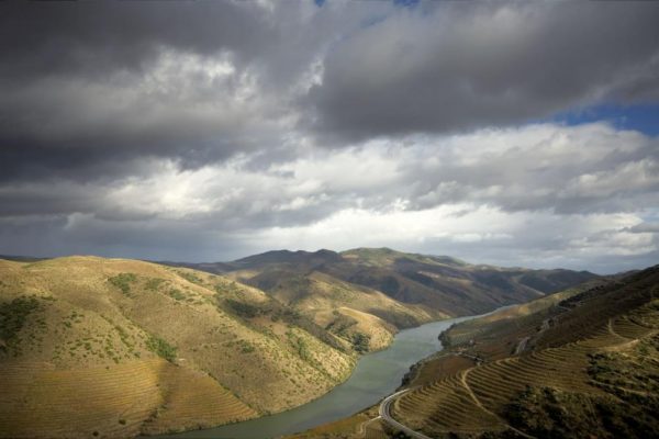 Côa Valley Archaeological Park