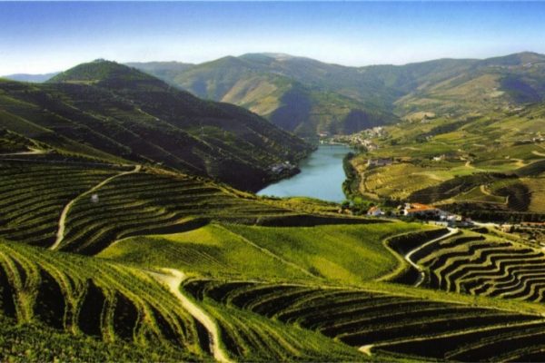 Das Weinbaugebiet Alto Douro