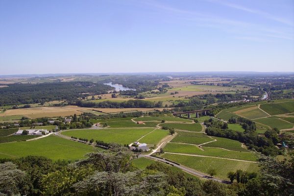 Une dégustation dans les vignobles du Sancerrois